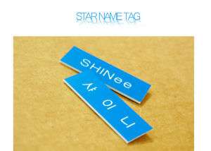 Korea KPOP SHINEE shiny STAR Name Tag Badge of members  