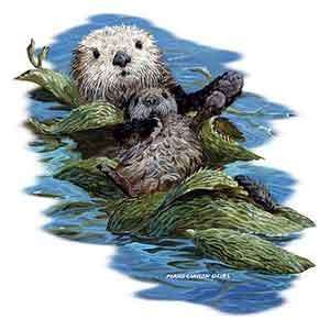  Sea Otter Shirts