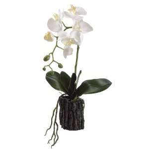   Silk Phalaenopsis Orchid Plant w/Bark Flower Spray  White (case of 6