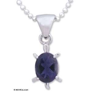  Iolite necklace, Crystal Turtle 15.9 L Jewelry