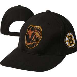 Boston Bruins Alternate Logo Adjustable Hat  Sports 