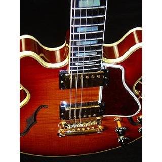 Gibson ES 335 Guitar Plans   24 By 36 Paper   2/3 Scale Suitable for 