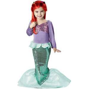   Toddler Little Mermaid Ariel Costume (Sz: Toddler 4T): Toys & Games