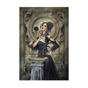  Gothic/Fantasy Posters: Alchemy   Black Rose Poster   91 