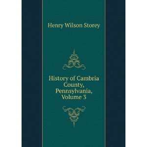   of Cambria County, Pennsylvania, Volume 3 Henry Wilson Storey Books