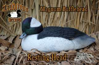 Traditions BuffleHead Duck Decoys   Buffle Head decoys  