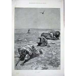  1890 Woodville Fine Art Desert Man Weapon Vulture Bird
