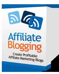 Create Profitable Affiliate Marketing Blogs Videos CD  