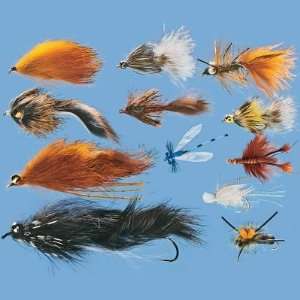  All Purpose 24 Piece Warm Water Fly Assortment With Fly 