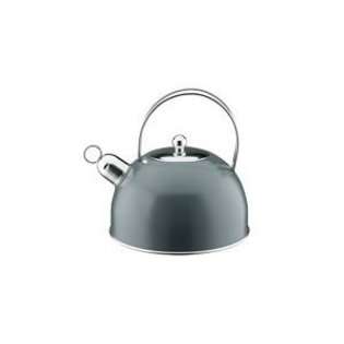   Color Stainless Steel 2 1/4 Quart Tea Kettle with Whistle, Cool Grey