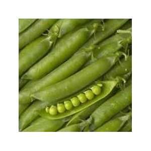  Super Snappy Pea Seed Pack Patio, Lawn & Garden