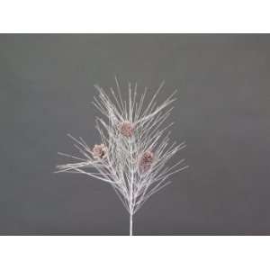  Pack of 12 Snow Drift White/Brown Glittered Pine/Cone 