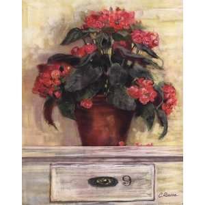 Carol Rowan   Begonias Canvas 