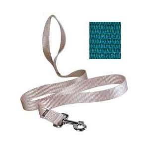  Quick Snap Leash   6 Foot Teal