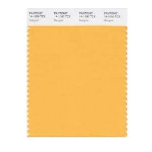   PANTONE SMART 14 1050X Color Swatch Card, Marigold: Home Improvement
