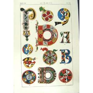   Art Illuminating Alphabet Letters Patterns Designs: Home & Kitchen
