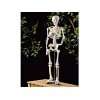 Build your own Human Skeleton: .de: Richard Miller: Bücher