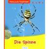 Wunderbare Welt der Spinnen: .de: Valerie Davies, Simon Mendez 