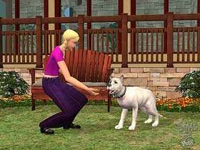 Die Sims 2   Haustiere (DVD ROM) (Erweiterungspack) Pc  