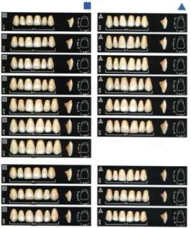 Grösse, Form und Stellung der Zähne gänzlich fehlen,