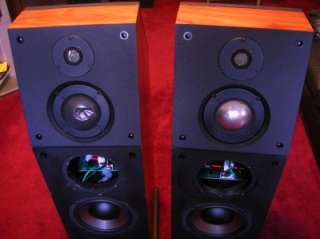 Genesis Model VI, Highend, Audiophile Speaker System Needs TLC 