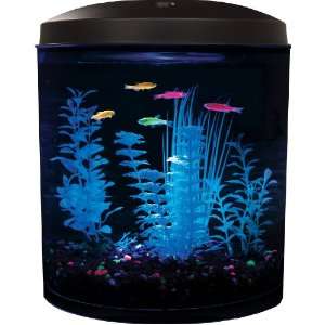   Aquarius Aq35000gpc Glofish 180 3.5 Gallon Aquarium Kit: Pet Supplies