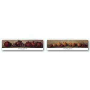 Apricots and Cherries   Apples and Grapes Set by Judith Levin 36x7 