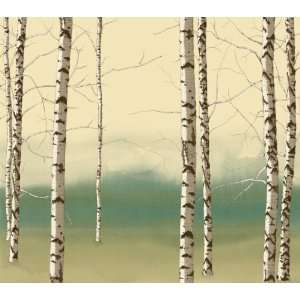  Birch Trees. Green/Tan. Eco Value Murals. 96 X 108 Inches 