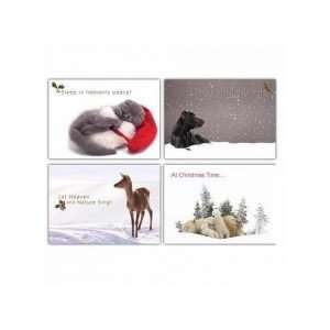  Boxed Gift Cards :C Christmas Friends (4 Designs) (12 Pack 