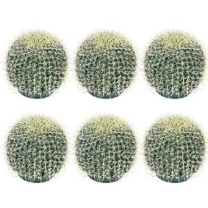   Pieces of 8 Barrel Artificial Cactus Desert Plants