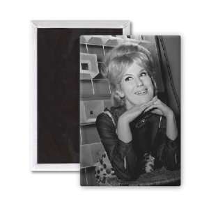 Dusty Springfield   3x2 inch Fridge Magnet   large magnetic button 