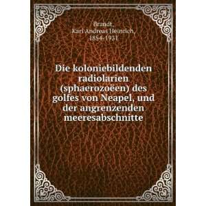   meeresabschnitte Karl Andreas Heinrich, 1854 1931 Brandt Books