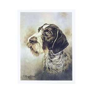  German Wirehaired Pointer Notecards by Ruth Maystead 