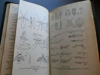 Field Book of Nature Study Vertebrate Invertebrate 1928  
