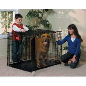 Life Stages Double Door Dog Crate 42 X 28 X 31: Pet 