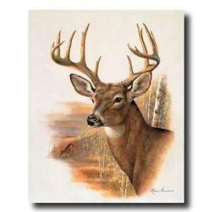 Whitetail Buck Deer Antler Rack And Doe Picture Animal Wildlife Art 