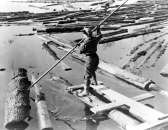 1944 Girl lumberjack works with pike pole PHOTO  