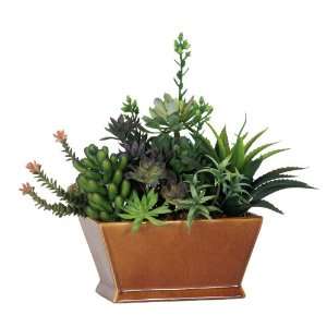  Artificial Succulent Garden in Rectangle Ceramic
