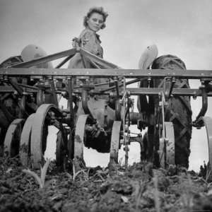  Patricia Colleen Altree Harrowing a Corn Field 