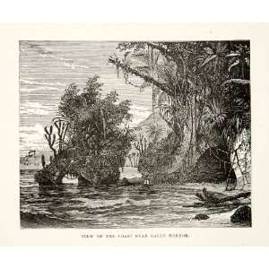  1881 Print Coast Line Galle Harbor Sri Lanka Landscape 